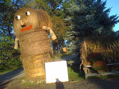 Jenny's Farm Market