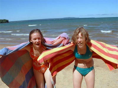 some random pterodactyls