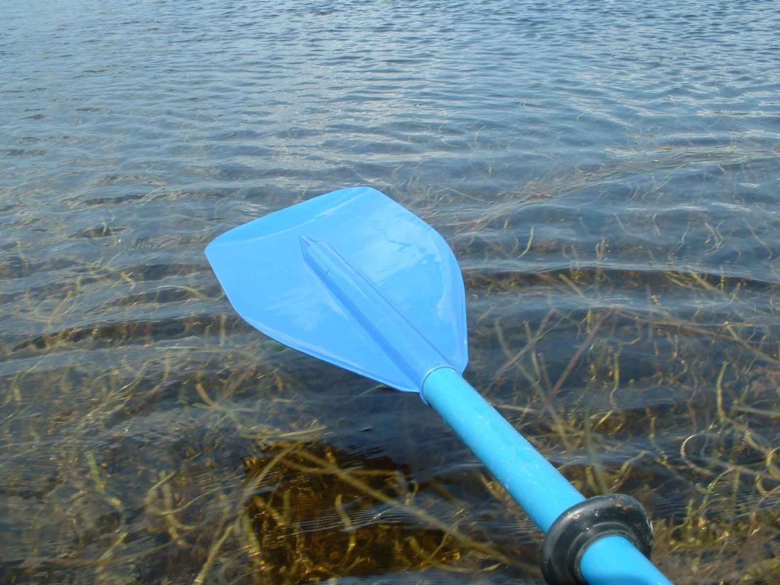 03paddle