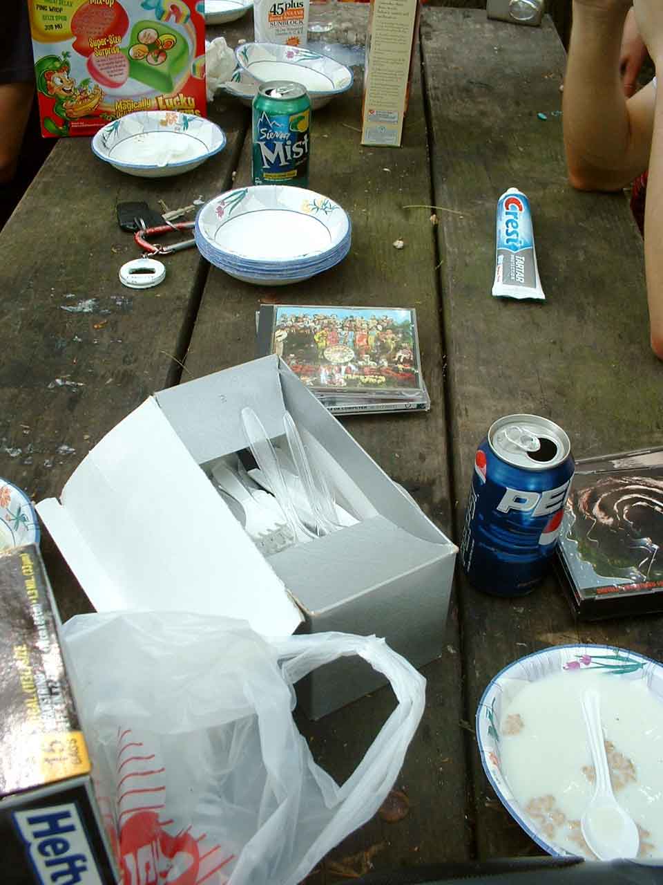 when city kids go camping, they take cd's