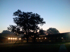 schoolyarddawn.jpg