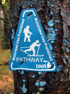 dnr-pathway.jpg