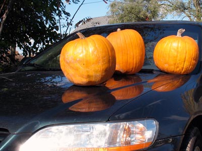 pumpkinveehickle.jpg