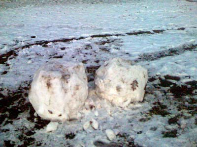 snowballs.jpg