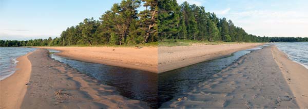 shorelinedreams.jpg
