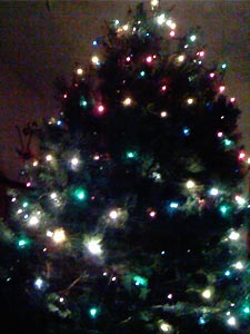 xmas-lights.jpg