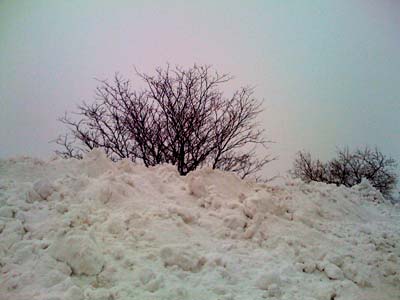 snowbank