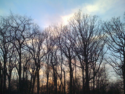 silhouettes