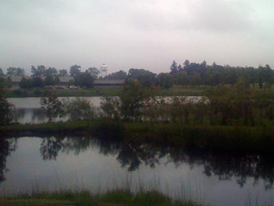 duckpond