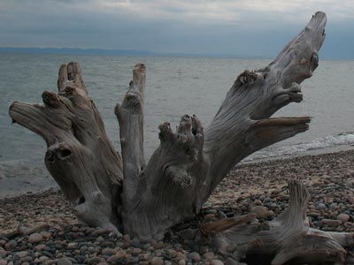 lakedragon