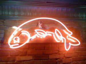 neonfish