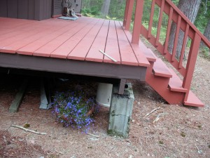 deckflowers