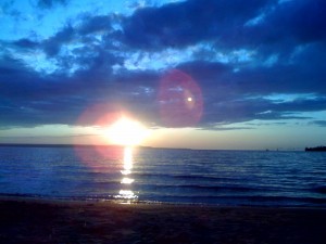 pic04686