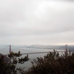 goldengatemarin