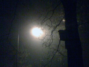 spooky