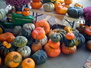 pumpkins
