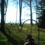 squirrel3