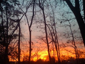 sunrise2