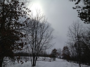 skiing