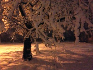 slushstorm