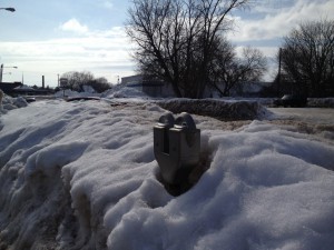 20130310-185234.jpg