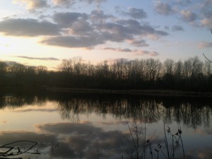 reflections