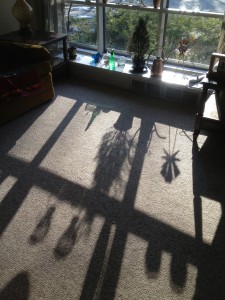 silhouettes