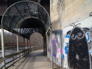 bartondam