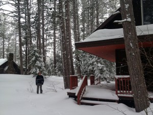 cabin1