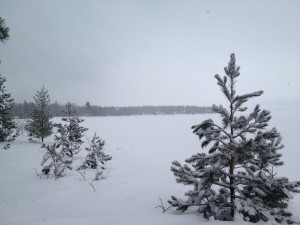 cabin2