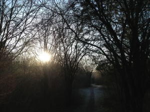 trail