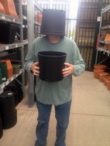 bigbuckethead