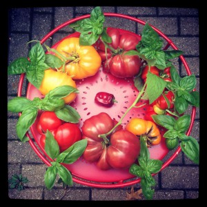 harvest