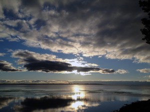 eriesun