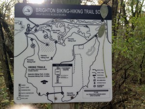 brightonmap