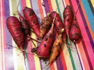 carrots