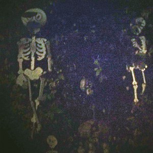 skeletor