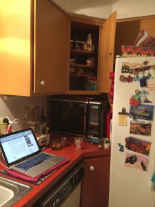 landfillkitchen