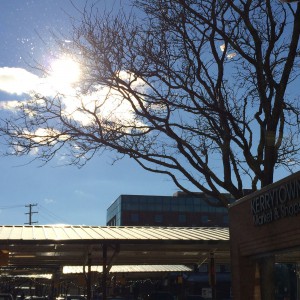 sun