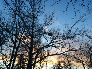 wintersunset