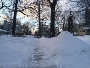 carbecksnow
