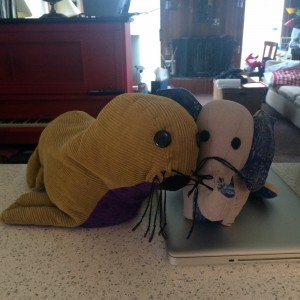 aminals