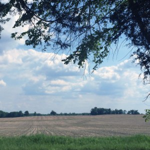 farmland