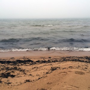 beach1