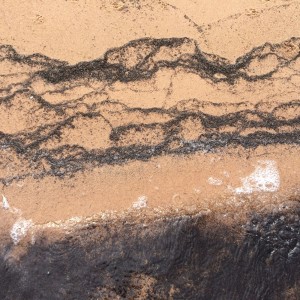 sawdust