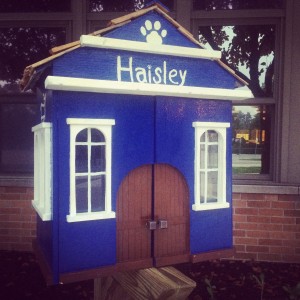 haisley