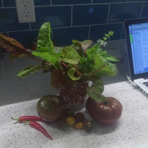 mousegarden