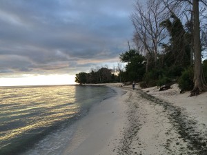 beach1