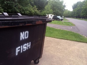 nofish