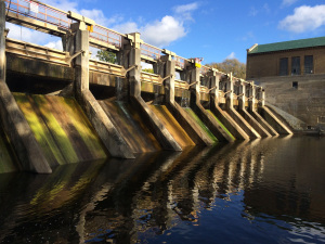 bartondam